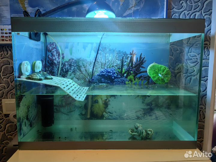 Террариум для черепахи