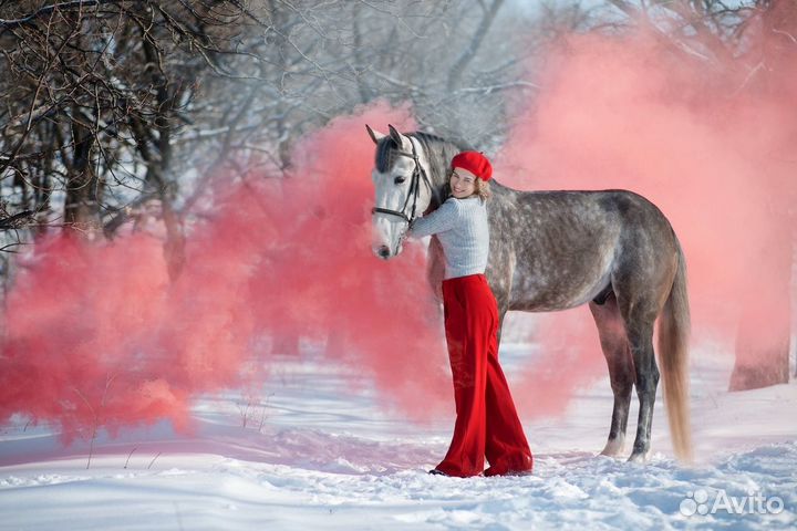 Сказочные конные прогулки, походы, мастер-классы