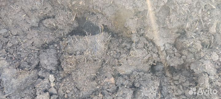 Чернозем, перегной торф песок