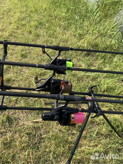 Карповые удилища Sportex