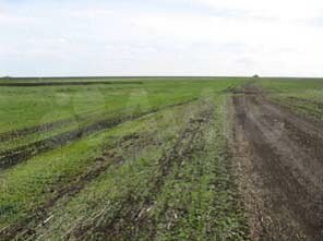 Участок 1,98 га (ИЖС)