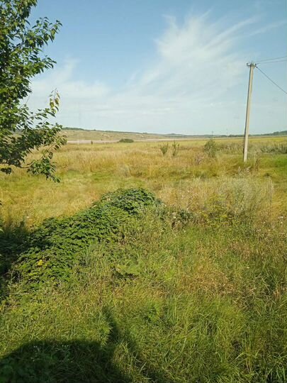 Участок 100 сот. (СНТ, ДНП)