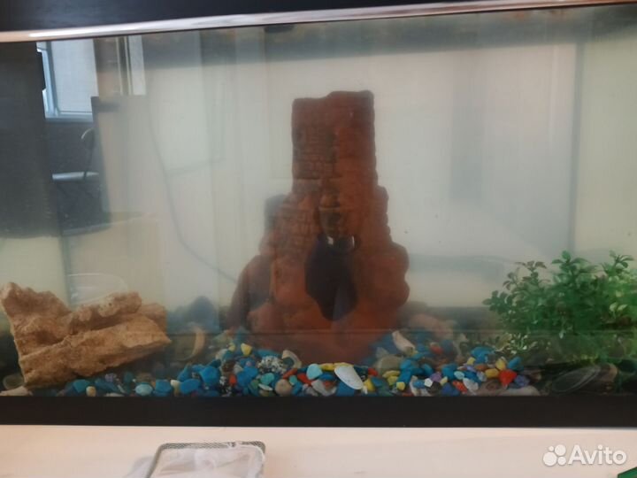 Аквариум с рыбками