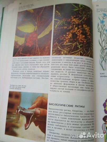 Энциклопедический словарь юного техника