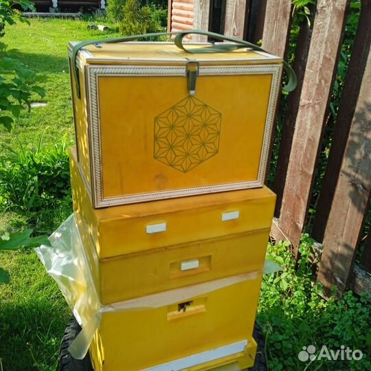 Ящик пчеловода