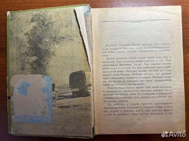 Сын полка Валентин Катаев