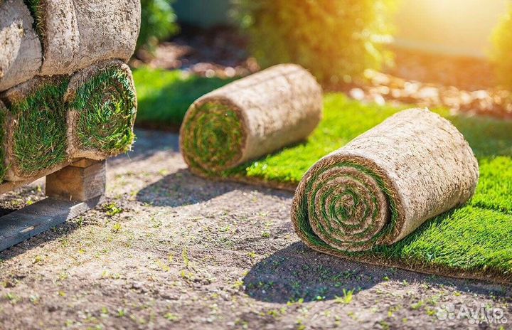 Рулонный газон Автополив, Ландшафт
