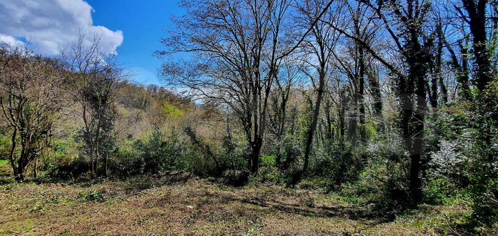 Участок 17,5 сот. (ИЖС)