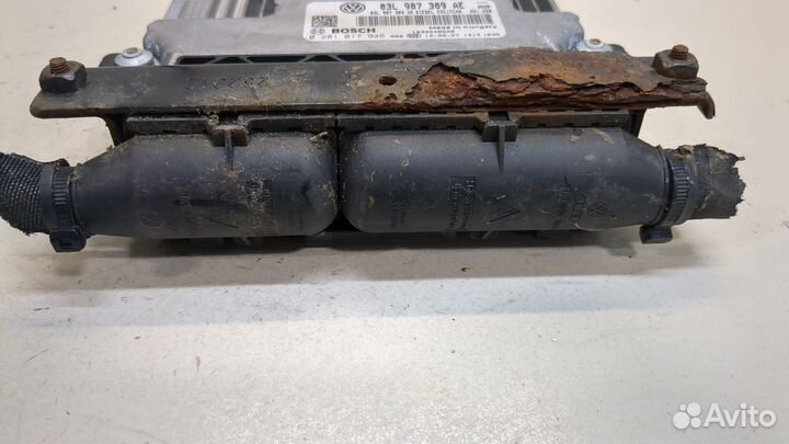 Блок управления двигателем Volkswagen Tiguan, 2012