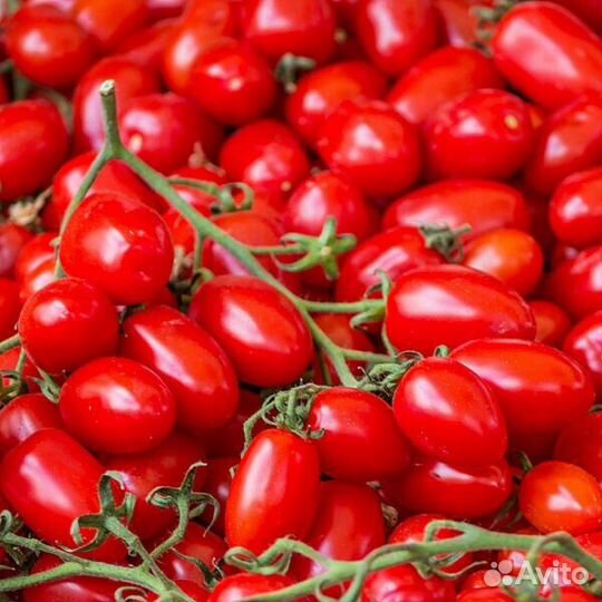 Овощевод вахта