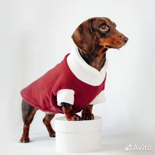 Новогодний костюм для собаки