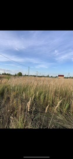 Участок 10 сот. (СНТ, ДНП)