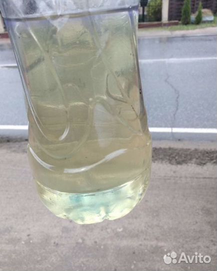 Дизельное топливо Оил-2019 гост