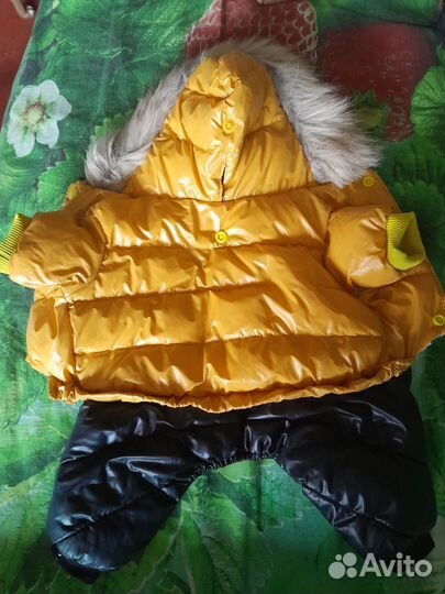 Одежда для маленьких собак