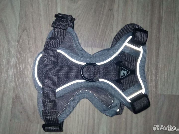 Шлейка для маленьких собак