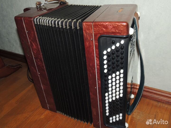 Гармонь Нотка и Аккордеон детские