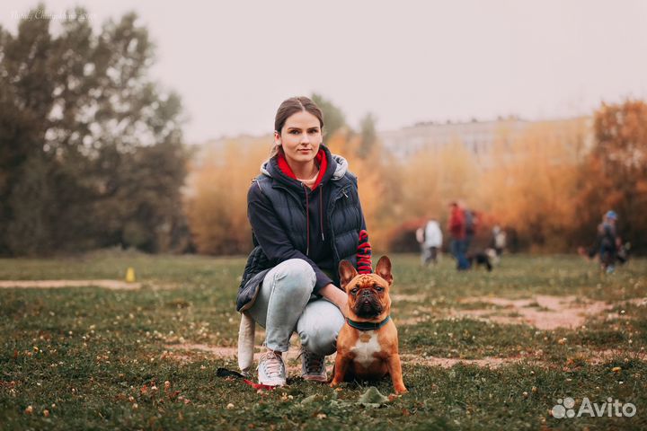 Кинолог в Кировском и Красносельском районе