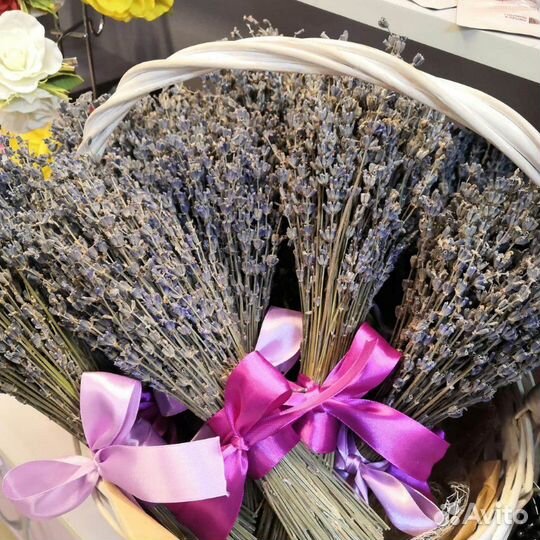 Букет лаванды