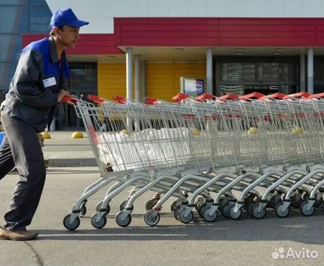 Дворник-тележечник (Строгино)