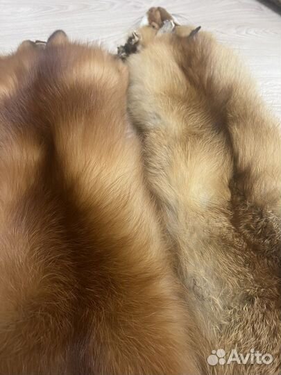 Шкурка животного, лиса