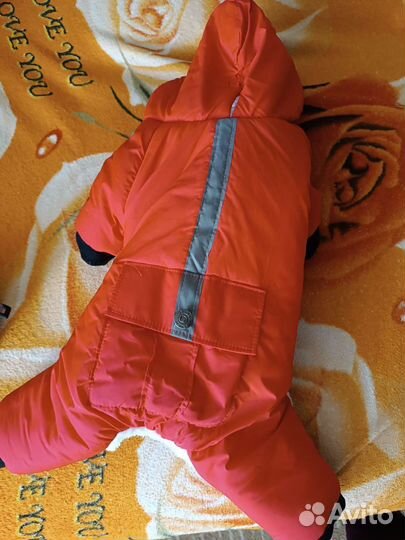 Одежда для собак