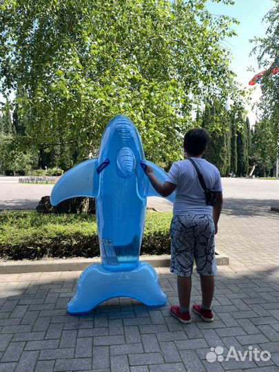 Надувной дельфин