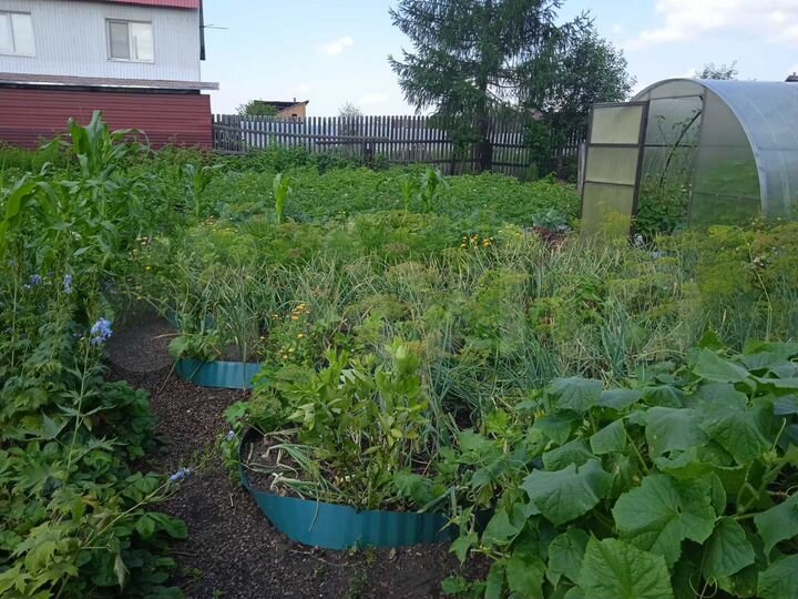 Дом 49 м² на участке 8,4 сот.