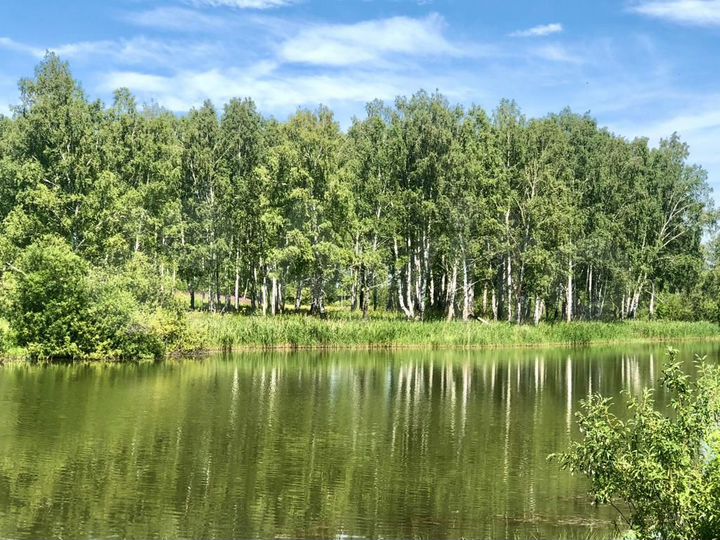 Участок 17,5 га (СНТ, ДНП)