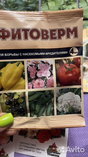 Семена капусты огурцы цветов табак рукола