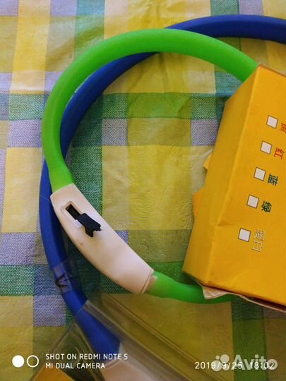 Светяшийся ошейник