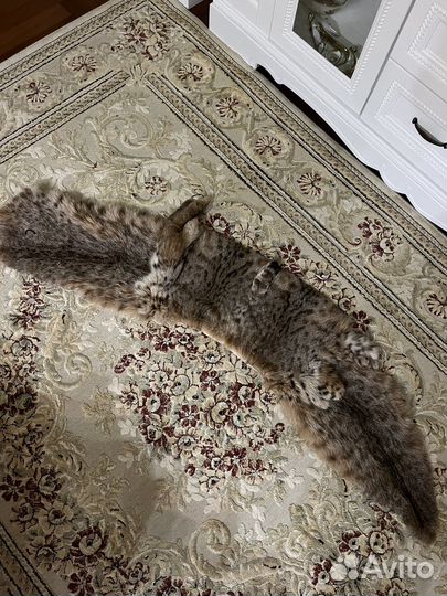 Воротник из рыси