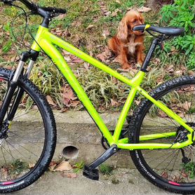 Norco storm 1 clearance