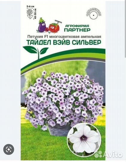 Рассада петунии