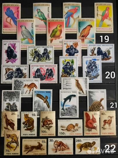 Коллекция марок 60-90х фауна 2 (чистые)