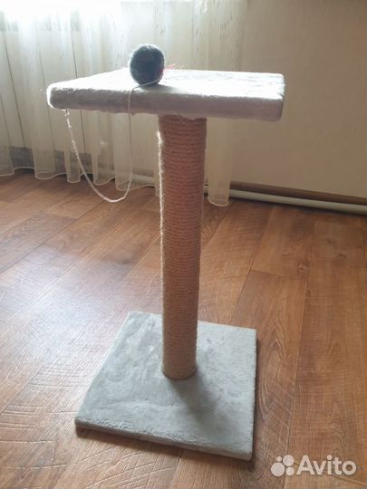 Когтеточка