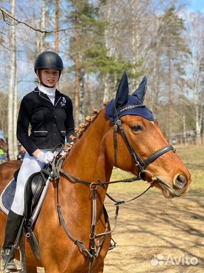 Конные прогулки, проф. обучение, сертификаты