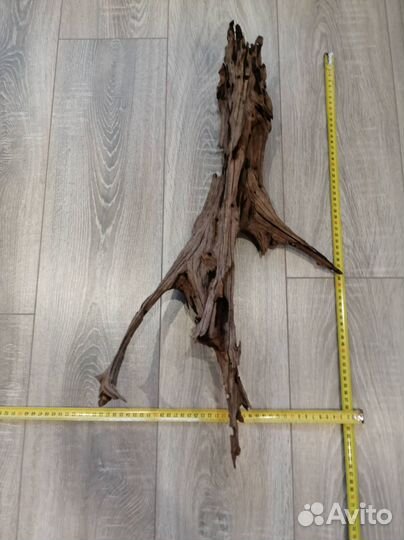 Коряги мангровые большие