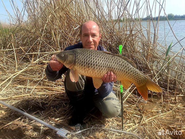 Рыбалка, рыбалка с гидом (егерь)