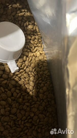 Корм для собак