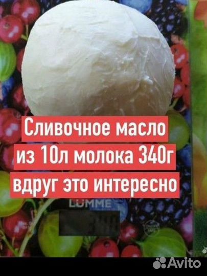 Козье молоко, сыр, творог, яйца