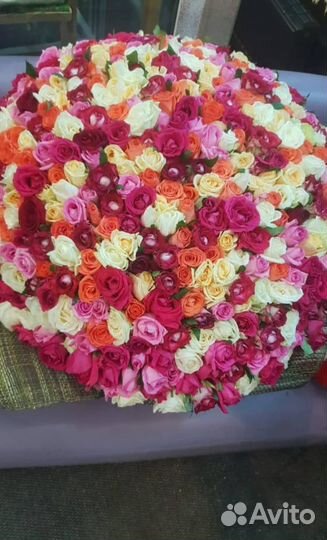 Букет Роз-51шт-микс-50см-за 3000. Доставка по крд