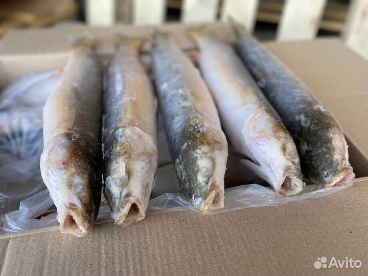 Кефаль не разделанная 300-500гр. свежеморож. 12кг