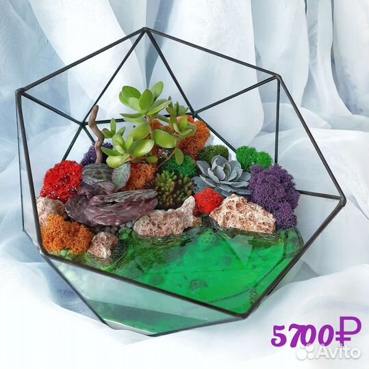 Флорариум с суккулентами на подарок под заказ