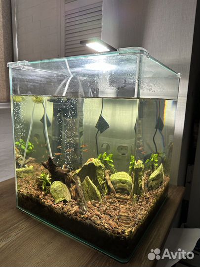 Аквариум куб dennerle 60 л с рыбками
