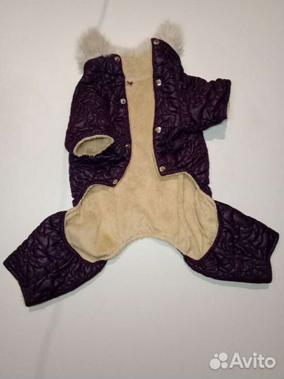 Комбинезон для собачки