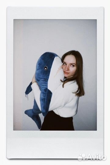 Акула блохэй