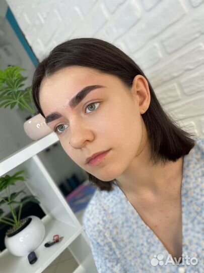 Бровист