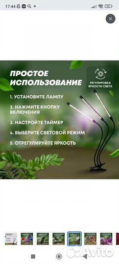 Фито лампа для растений