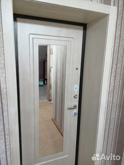 Двери входные с зеркалом от производителя