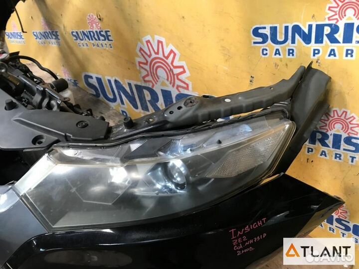 Nose cut honda insight